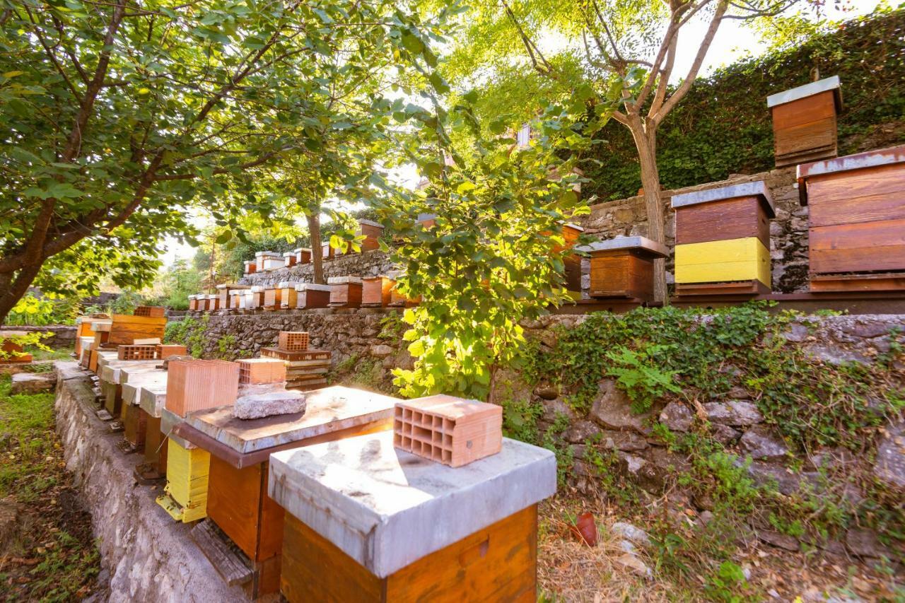 Honey Farm House Virpazar Eksteriør bilde