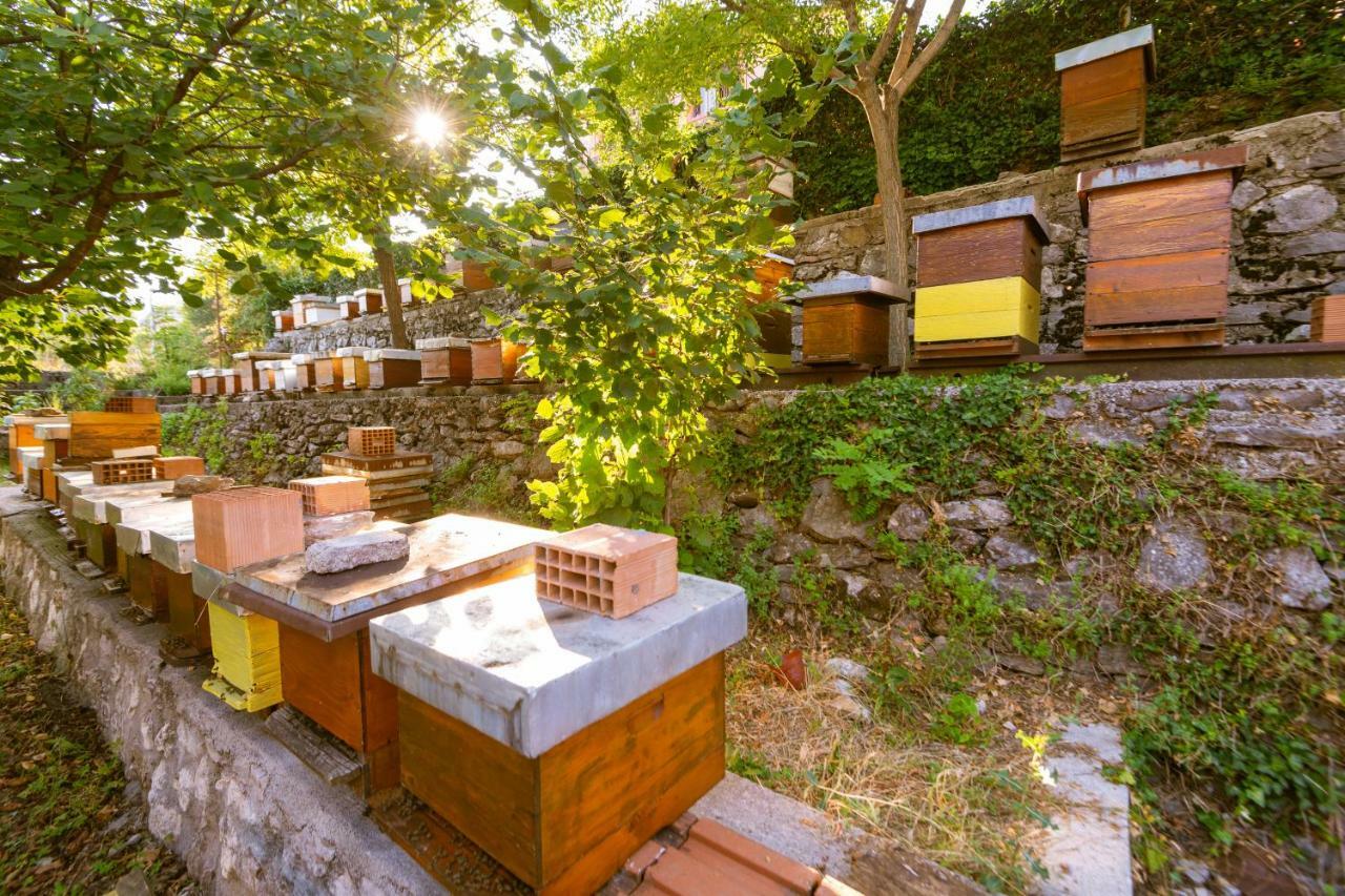Honey Farm House Virpazar Eksteriør bilde